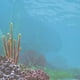 Disney Finding Nemo Paper 12"X12"-Underwater Left – image 1 sur 1