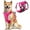 Fuchsia, variant on AUTOWT No Pull Dog Harness - Lightweight, Escape Proof with Padded Handle, Adjustable Reflective Vest for All Sizes