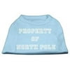 Property of North Pole Screen Print Shirts Baby Blue M (12)