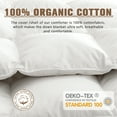 thumbnail image 2 of Teler Feather Down Comforter Queen Size - Duvet Insert with 100% Cotton Cover - White 90" x 90", 2 of 6