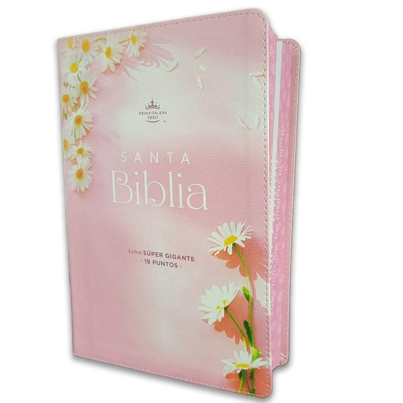 Biblia para Mujer Letra Super Gigante 19 puntos RV1960 imit piel rosa y canto con mensaje - Mujer Virtuosa