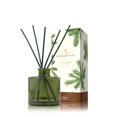 thumbnail image 1 of Thymes Frasier Fir Reed Diffuser Set &acirc;?? Include, 1 of 7