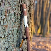 Brazos Rustic Wood Walking Stick, Twisted Sweet Gum, Traditional Style Handle, for Men & Women, 55