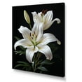 thumbnail image 2 of Designart "Lily Exquisite Black White wall decor II" Floral Canvas Print, 2 of 5