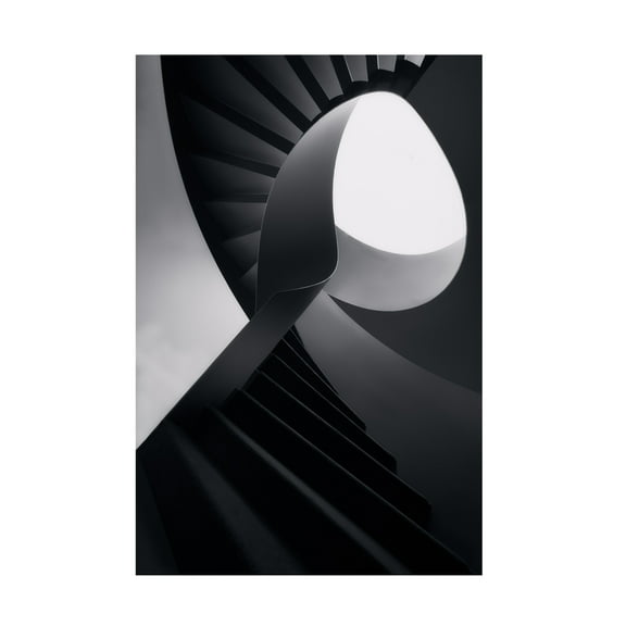 Trademark Fine Art Olavo Azevedo Round lines Canvas Wall Art