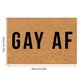 thumbnail image 3 of Felpudo de entrada MONEPIRED, divertido felpudo con diseño de orgullo gay, antideslizante, divertido, de bienvenida, impermeable, 40,6 x 60,9 cm, 3 of 7