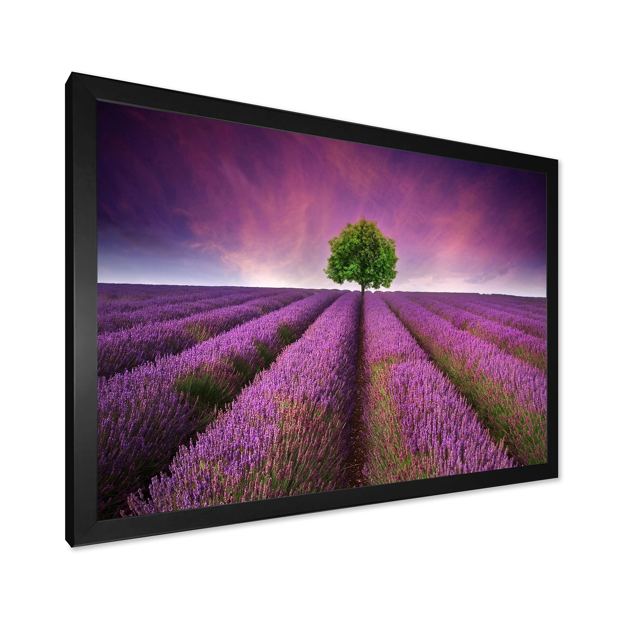 Designart 'Tree With Stunning Lavender Field Summer Sunset' Farmhouse Framed Art Print