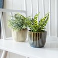 thumbnail image 2 of TRAHOO-Home & Garden Set of 2 Ribbed Planters Navy & Cream Porcelain, 2 of 4