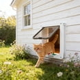 thumbnail image 6 of Cevemin Two-Way Pet Door for Cats and Small Dogs - Plastic Dual Opening Door for Indoor Outdoor Use on Glass Doors, Screen Doors, and More, 6 of 6
