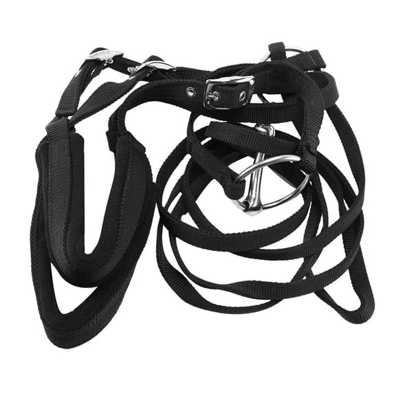 Adjustable Equipment Halter Horse Bridle with Bit and Rein Belt for Horse Equestrian Accessories Soft Thicken Large