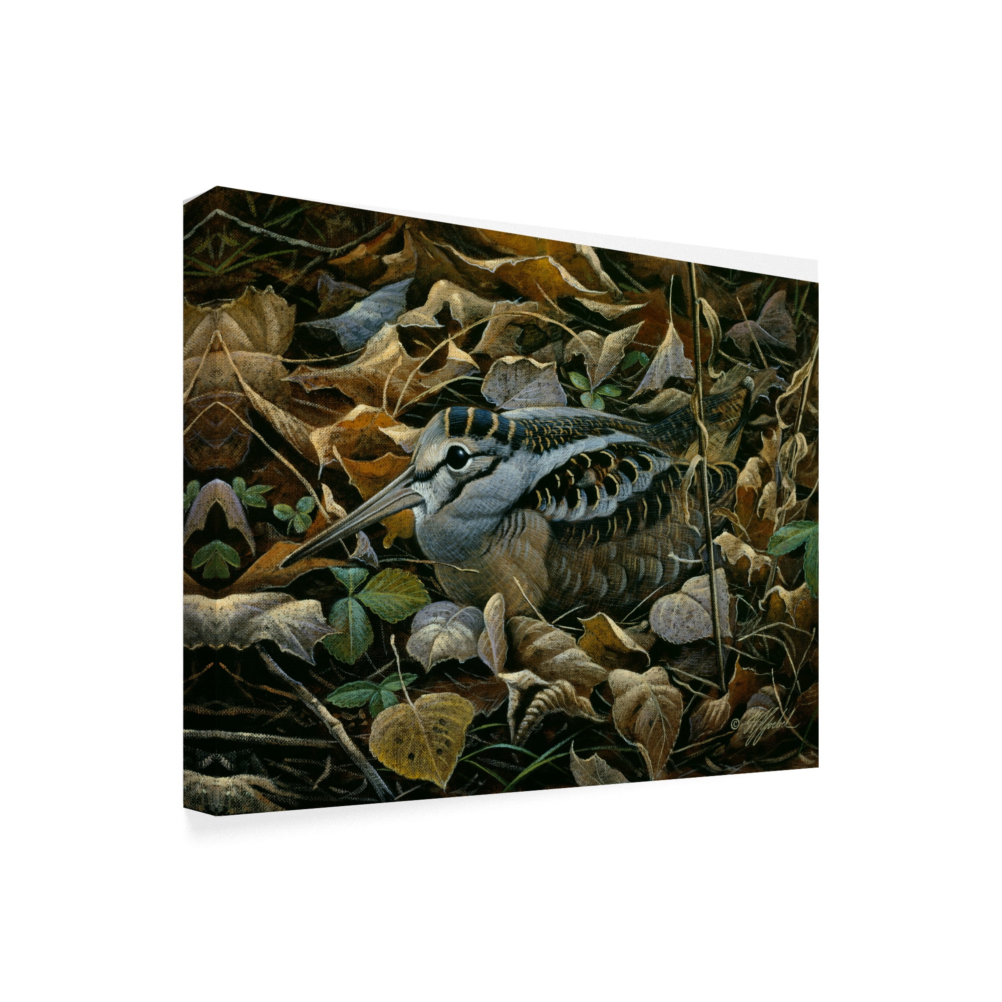 Trademark Fine Art 'Sitting Tight' Canvas Art by Wilhelm Goebel