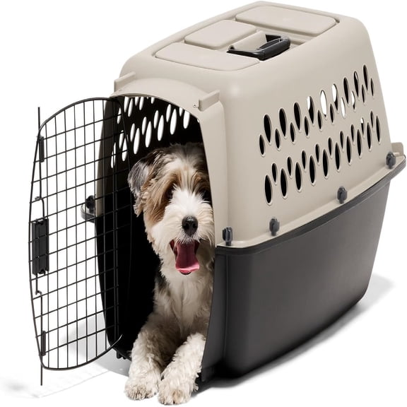 Small Portable Carriers & Crates for Dogs 10 to 20 lbs, Airline-Friendly, Durable Plastic, Pet Carrier For Home and Travel
