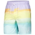thumbnail image 2 of Men's G-III Sports by Carl Banks Atlanta Braves Perfect Game Volley Board Shorts, 2 of 3