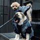 thumbnail image 1 of Fashion Dog Vest for Small Dogs French Bulldog Denim Coat Jacket for Chihuahua Pug Puppy Pet Apparel PC0930 ShopWise Round, 1 of 5