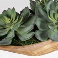 thumbnail image 2 of Uttermost 60205 Yuma 8" Tall Wood Faux Flora Planter - Natural, 2 of 5