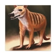 thumbnail image 1 of The Tasmanian Tiger Awakens - Canvas, 1 of 10