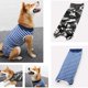 thumbnail image 2 of Pet Dog Striped Camouflage Abdominal Wounds Clothes Anti-licking Snugly Bodysuit After Surgery Pet Supplies He Qiyong unisex, 2 of 2