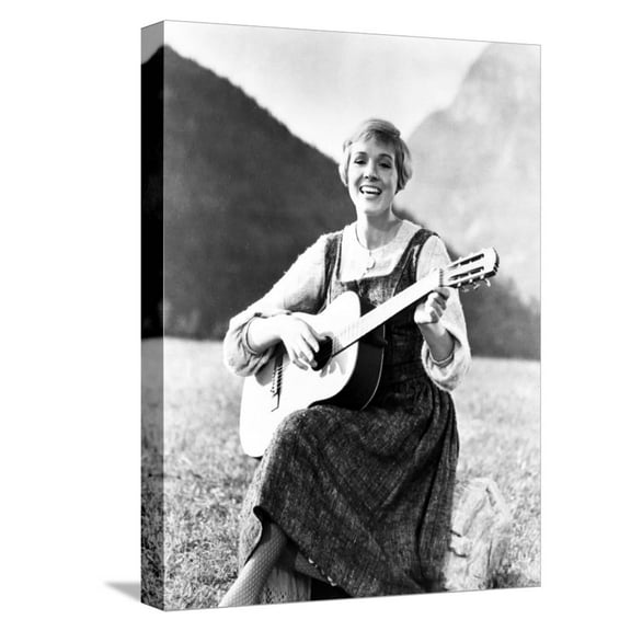Art.com Sound of Music, Julie Andrews, 1965 Stretched Canvas Print Wall Art, 12" x 16"