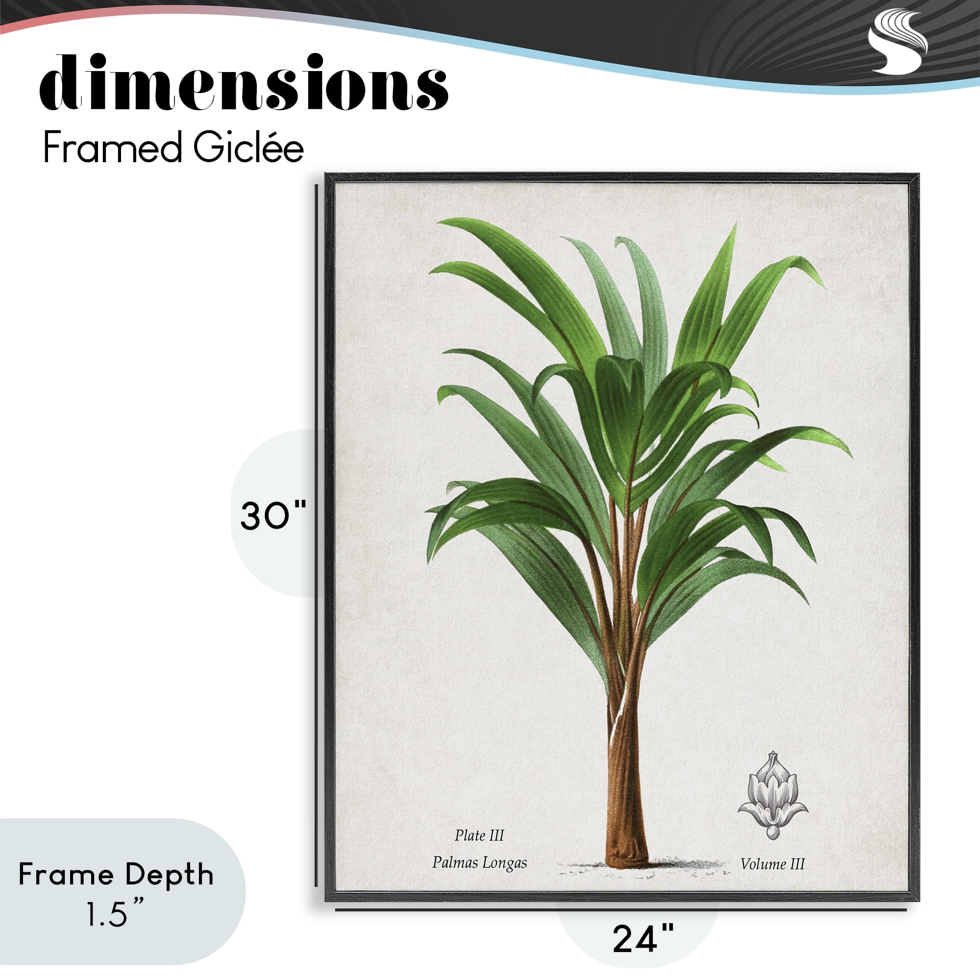 Stupell Industries Palmas Longas Palm Tree Black Framed Giclee Art, design by Val Rhodes