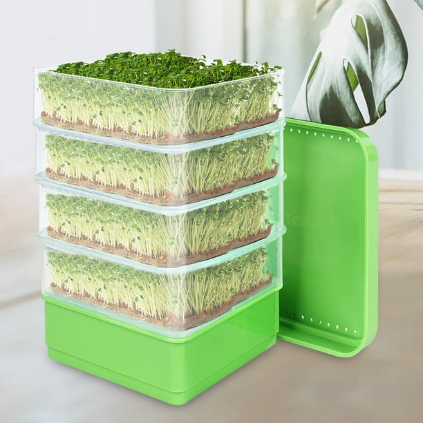 Kits de Germinación de Semillas Perfecl Micro Multiusos