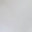 White, variant on Acotar Fan Night Court Sword Rose Graphic Tees Womans T shirt Shirts Black White S-5XL Tops