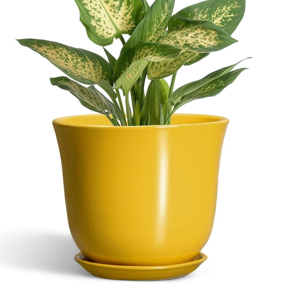 Ordivic 6" Light Yellow Minimalist Round Ceramic Plant Pot with Drainage Hole & Saucer, Small Indoor Desk Planter for Cactus, Succulents & Mini Houseplants