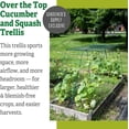 thumbnail image 2 of Gardener's Supply Company Over The Top Cucumber & Squash Trellis | Powder-Coated Steel Weather-Proof Trellis Plant Support for Climbing Plants, Vegetables and Flowers - Green, 2 of 7