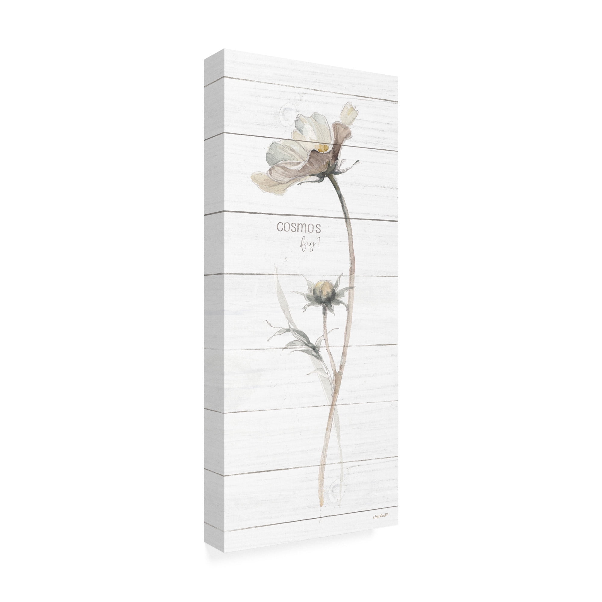 Trademark Fine Art 'A Country Weekend VII Shiplap Crop' Canvas Art by Lisa Audit