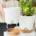 thumbnail image 3 of Macetas para plantas de interior y exterior Toystoory 6 piezas marrón olla blanca, 3 of 6