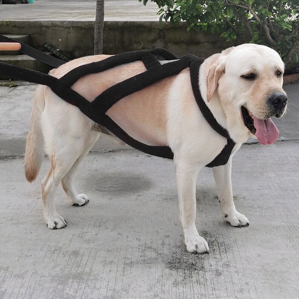 Pet Artist Dog Weight Pulling Harness Heavy Duty Training Large Dogs No Pull Pitbull Husky