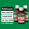 thumbnail image 5 of Children's Robitussin Kids Cough Congestion DM and Cold Medicine, Honey, 4 Fl Oz, 5 of 13