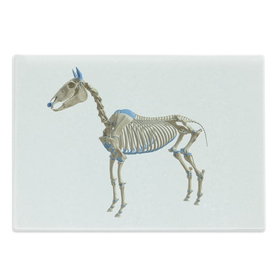 Bones Cutting Board, Artwork of a Single Bone Structure of a 4 Feet Animal, Decorative Tempered Glass Cutting and Serving Board, in 3 Sizes, by Ambesonne