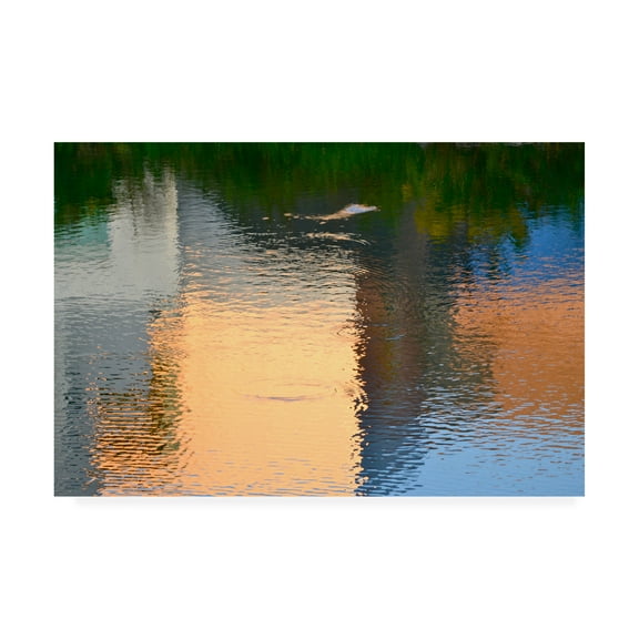 Trademark Fine Art 'Reflection on the Iowa River No. 1' Canvas Art by Ulpi Gonzale