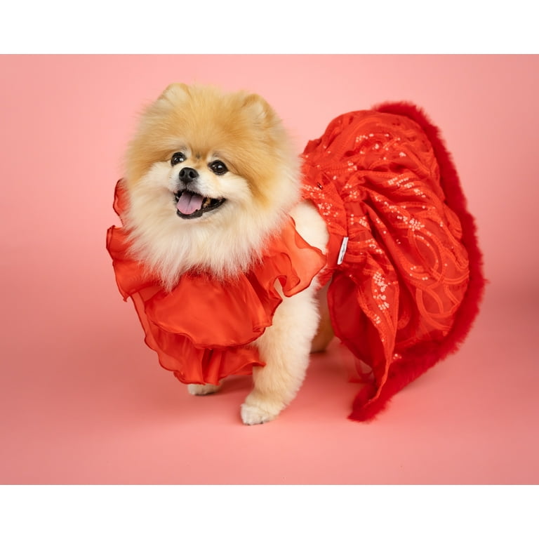open lace back dress Strawberry Picnic Small Dog Dress & Matching Leash main image 0