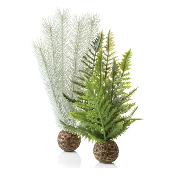 biOrb Small Thistle Fern Plant Set - Aquarium Decor