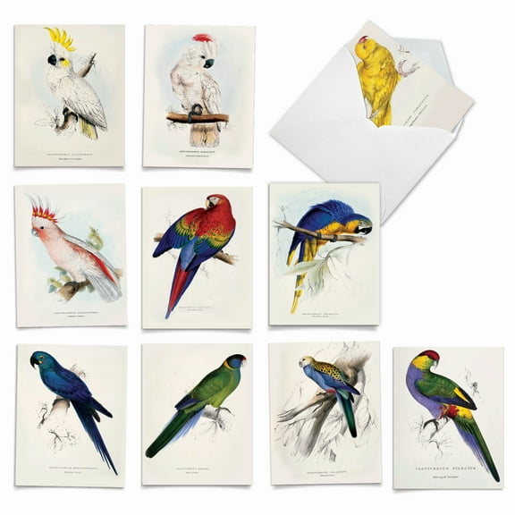 10 Thank You Note Cards Assorted (4 x 5.12 Inch) - BIRDS OF A FEATHER M6057
