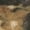 Mossy Oak, variant on Mossy Oak Men's Bear Claw 3D 9275 Breakup Country