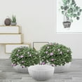 thumbnail image 4 of Indoor Concrete Pots Set 3PCS Outdoor Indoor Modern Planter,17" + 14.4"+11.4" Dia Round Flower Pots for Patio, Garden, Home and Office, 4 of 7