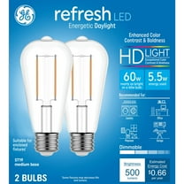 GE Refresh HD LED Light Bulbs, 60 Watt, Daylight, ST19 Edison Bulbs, Medium Base, Clear Finish, 2pk