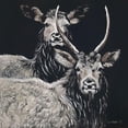 thumbnail image 3 of Redman, Suzi 20x20 Black Modern Framed Museum Art Print Titled - Two Woodland Deer, 3 of 5
