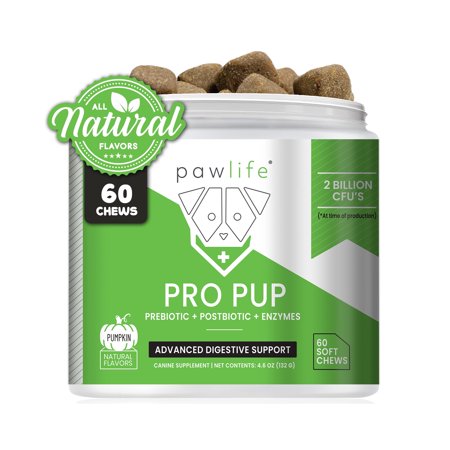 Pawlife Probiotic Chews for Dogs - Pro Pup Dog Probiotics, Veterinarian Formulated Dog Probiotics and Digestive Enzymes, Dog Gut Health Probiotics, Natural Dog Gas Relief (Pumpkin Flavor)