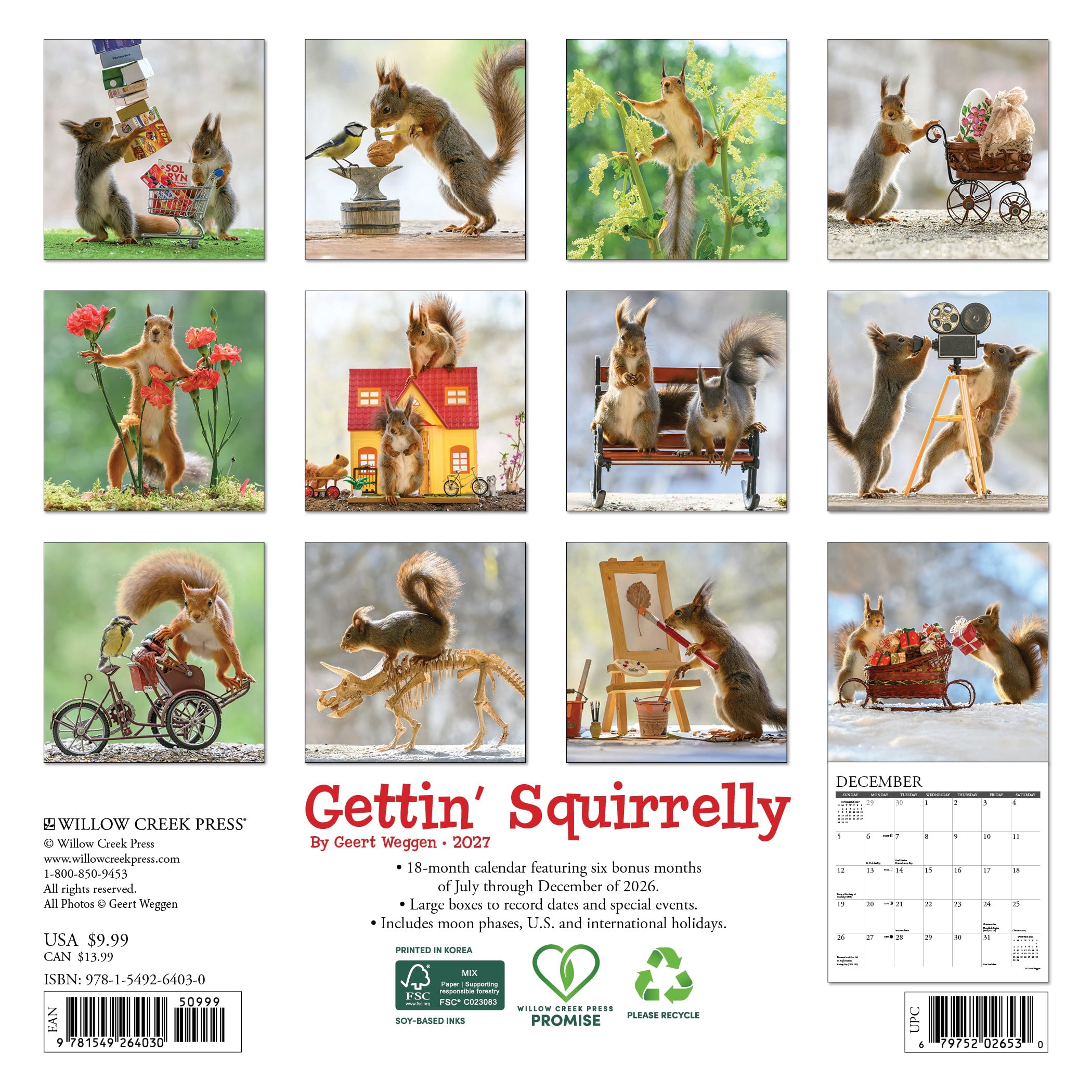 Willow Creek Press, Gettin' Squirrelly 2027 Mini Wall Calendar