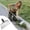 🔥 Multicolor, variant on Msgweeeg Snow Shovel Snow Removal Multi Functional Cleaning Shovel Cleaning Shovel with Handle Snow Removal Shovel
