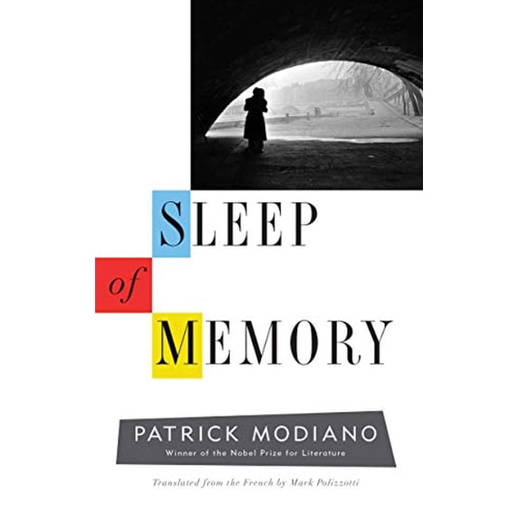Pre-Owned Sleep of Memory (Hardcover) 0300238304 9780300238303