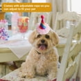 thumbnail image 4 of Farfi Pet Hat Soft Comfortable Adjustable Cat Dog Birthday Hat Pet Costume Accessories for Festivals Party Supplies (Type E), 4 of 13