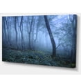 thumbnail image 2 of Trail Forêt d'Automne Bleue, 2 of 3