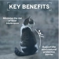 thumbnail image 5 of Forza10 Wet Cat Food Hypo Fish 12 pack, 5 of 14