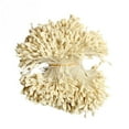 thumbnail image 2 of 1400 piezas de tarjetas de álbum de recortes de estambres decoración de flores suministros para manualidades Crema perfecl estambres florales, 2 of 7