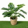 thumbnail image 4 of Artificial Monstera Deliciosa Plant with Woven Basket Realistic Faux Greenery for Home and Office Decor, 24 Inches Tall, 4 of 6