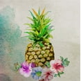 thumbnail image 2 of Boho Hue Studio 20x20 Black Ornate Wood Framed with Double Matting Museum Art Print Titled - Pineapple, 2 of 4